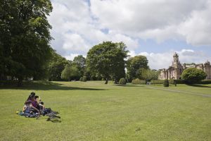 lister park landscape 2 sm.jpg